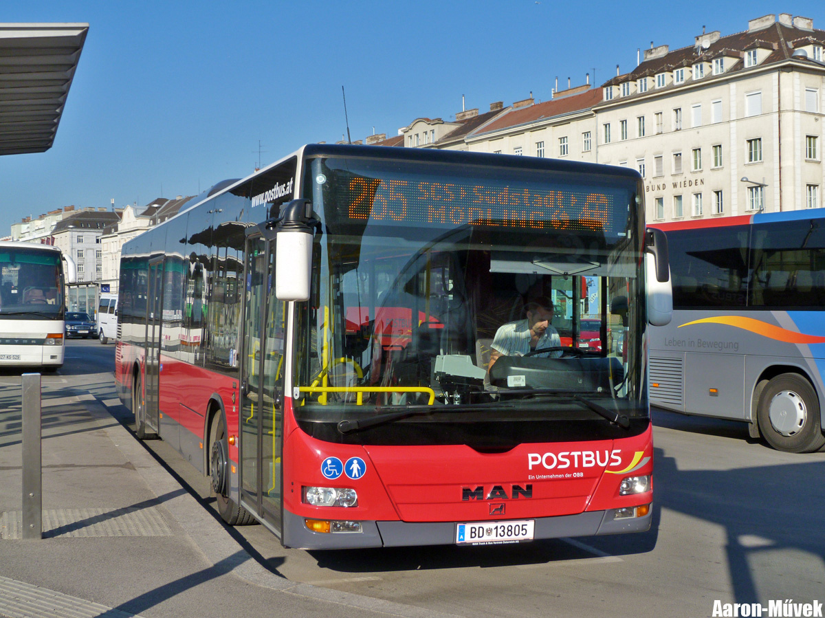 Tramwaytag 2013 (3)