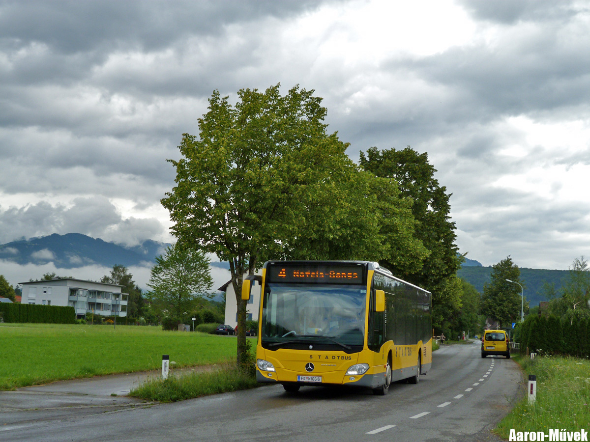 Zeawas Vorarlberg (9)
