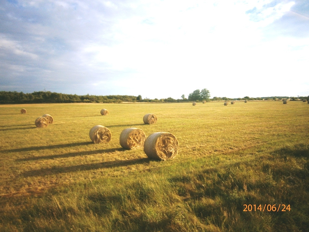 Óriások gurigái