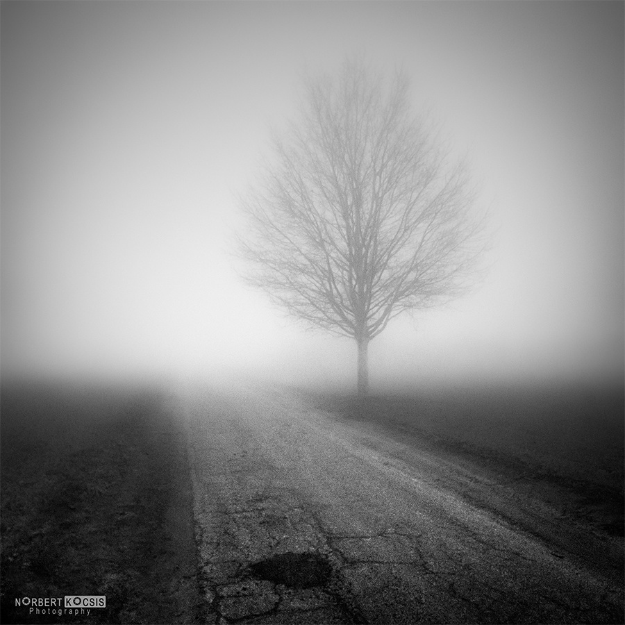 Egy út mellett a decemberi ködben
