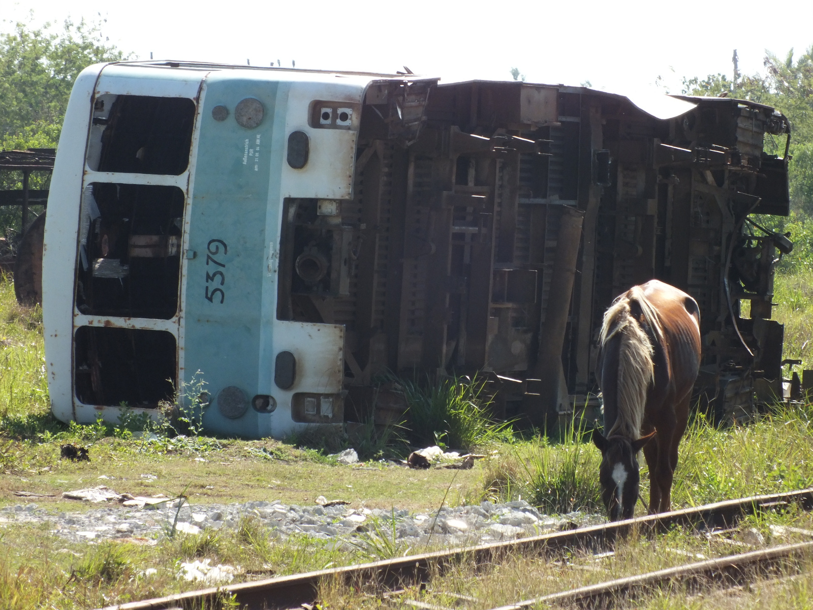 CUBA 2013 312