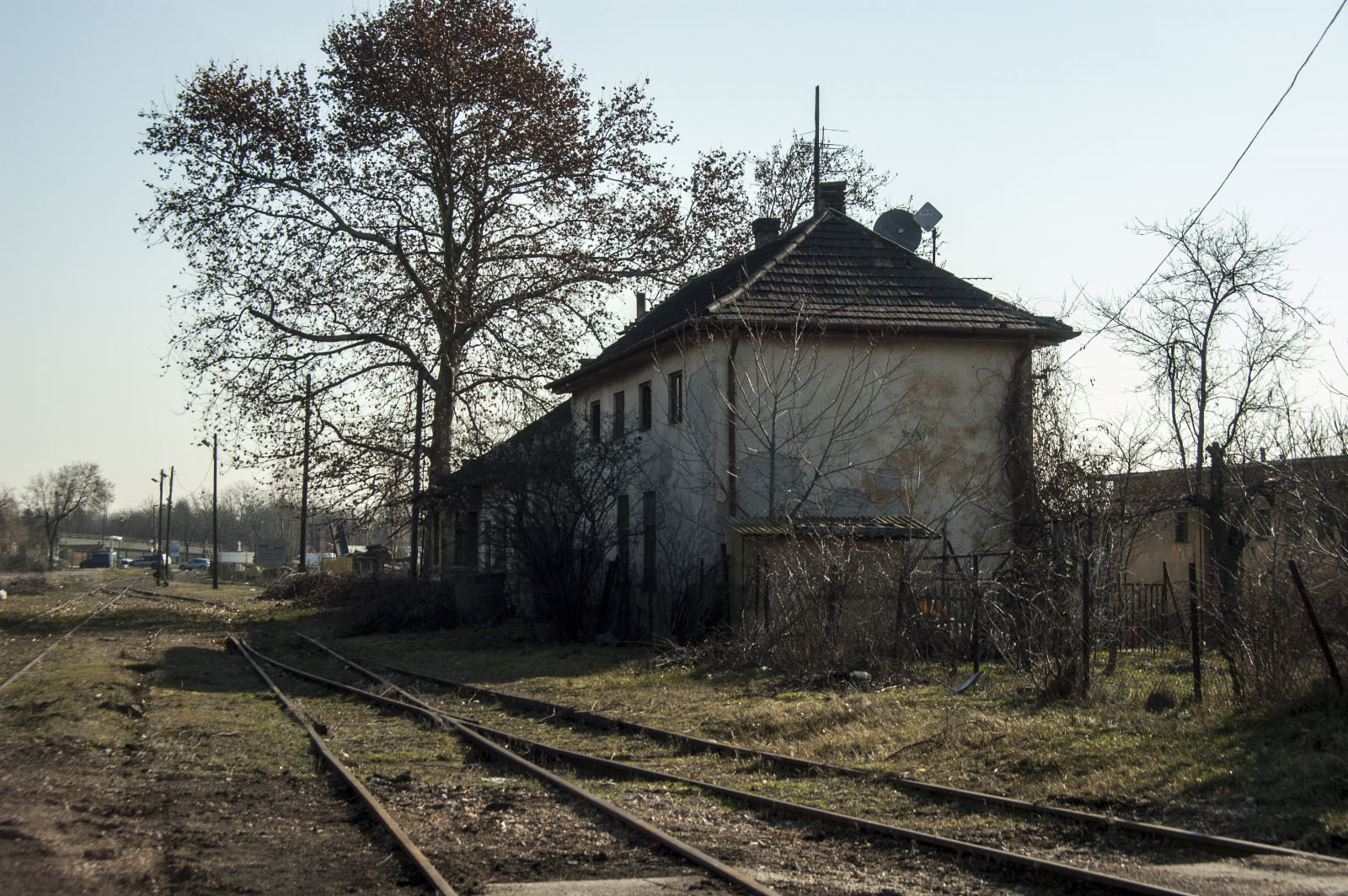 nagy-Burma (Szemeretelep)