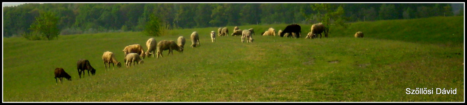 Panoráma a gáton