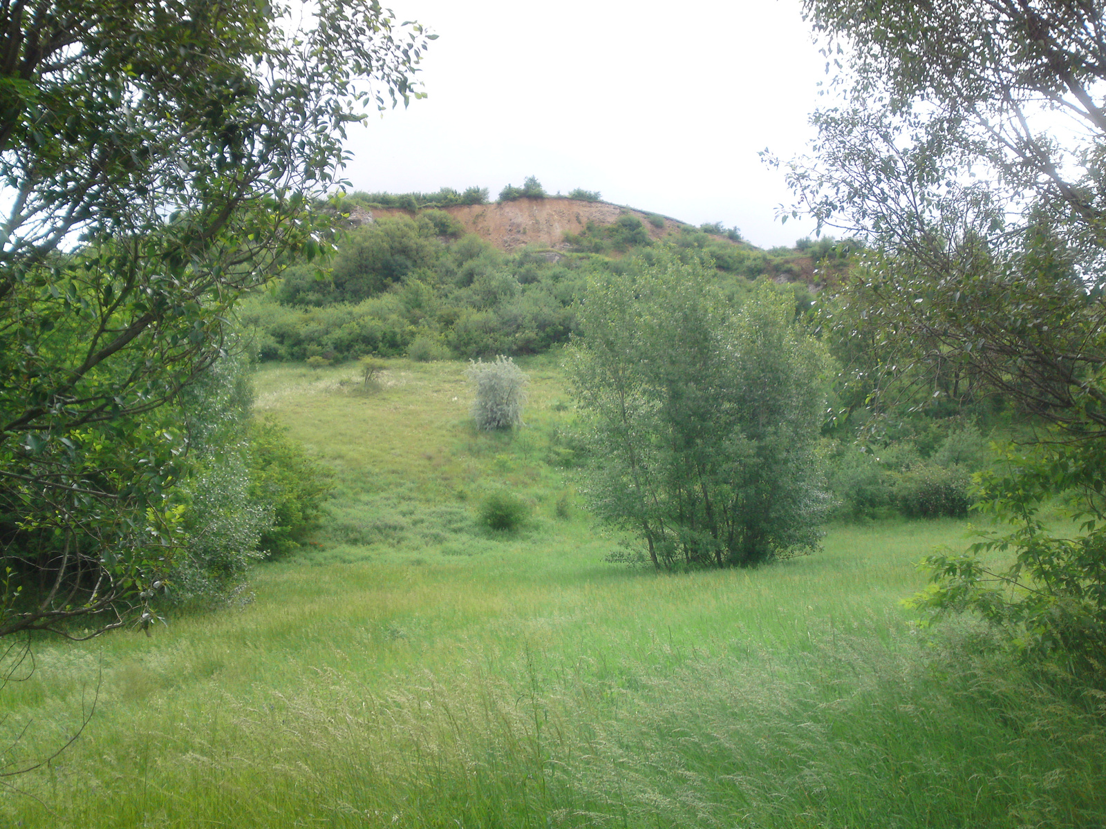 Hock Anikó. Esztergom természet , 2013 Május 20.