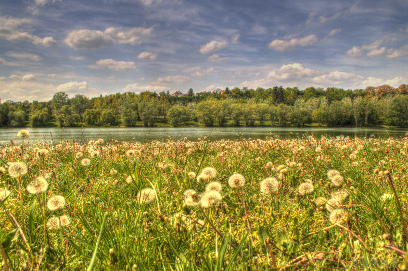 DSC 0737 tonemapped