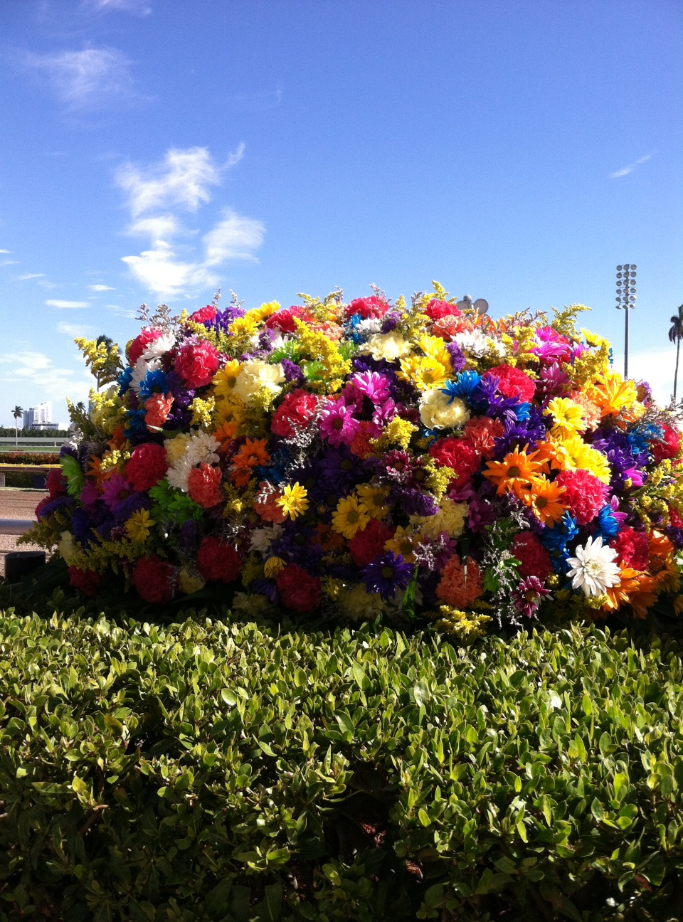 GulfStreamPark ünneplőben