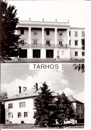 a010089-Tarhos