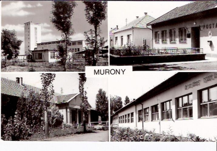 a010093-Murony