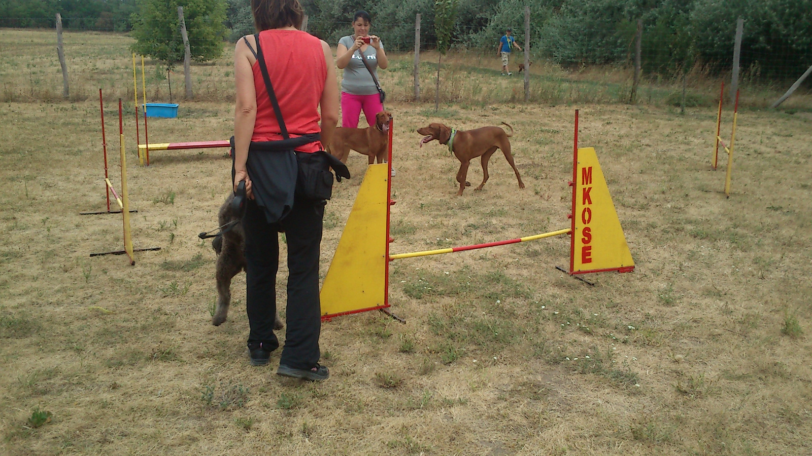 vizsla piknik 2013 (1)