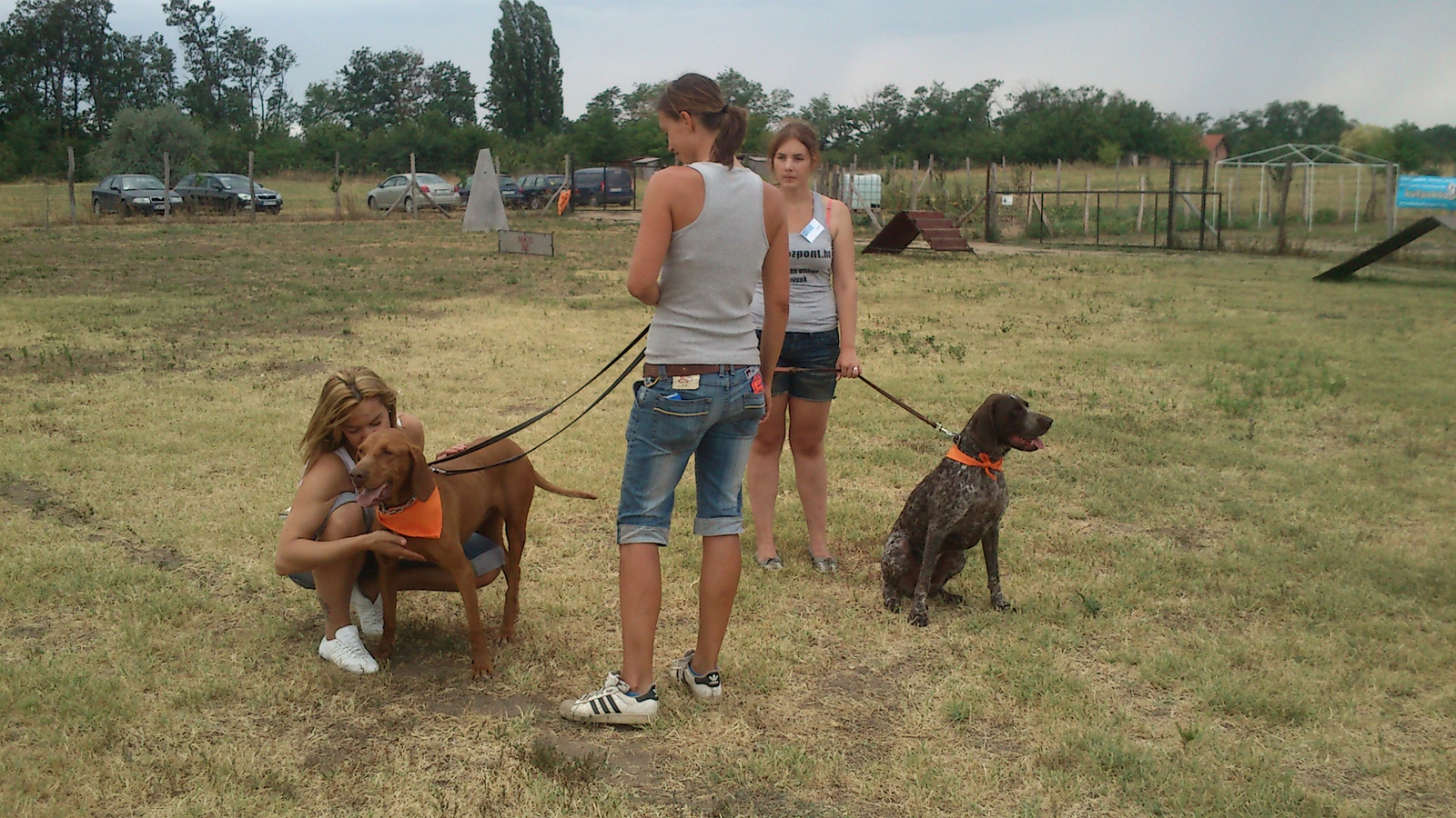 vizsla piknik 2013 (4)