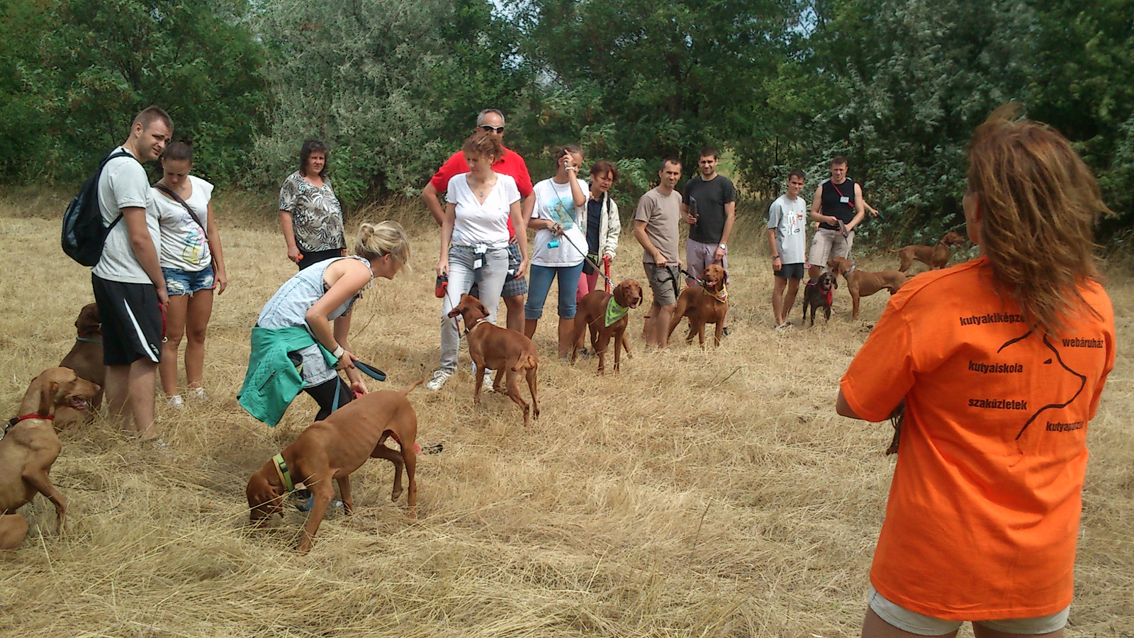 vizsla piknik 2013 (26)