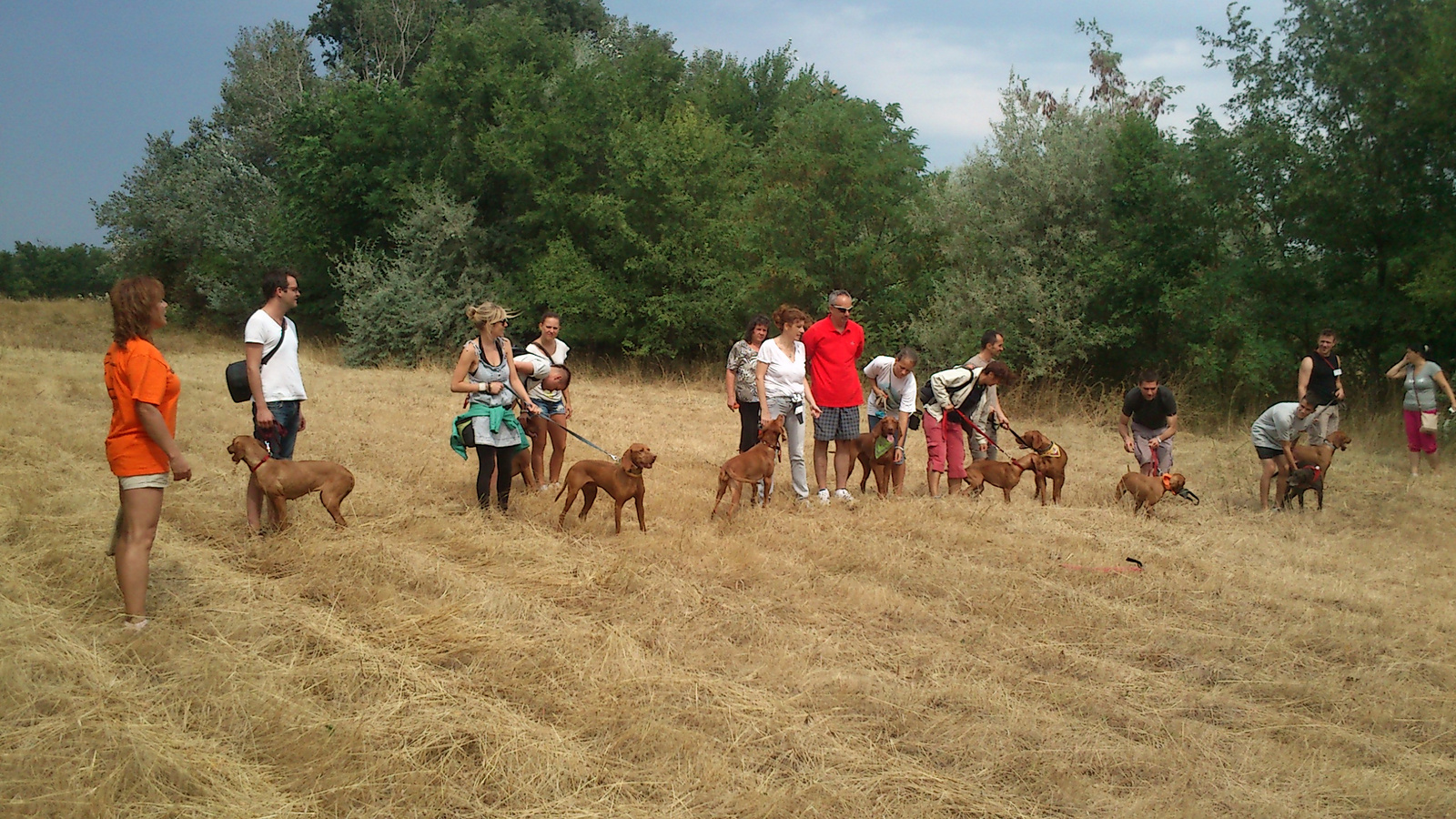 vizsla piknik 2013 (25)