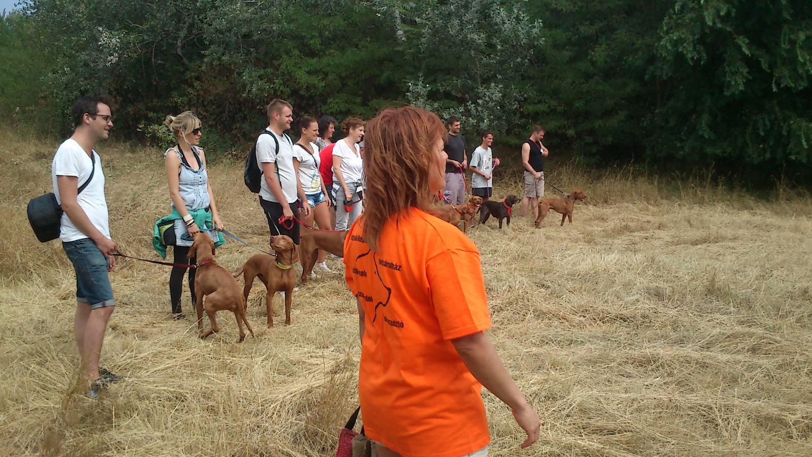 vizsla piknik 2013 (14)