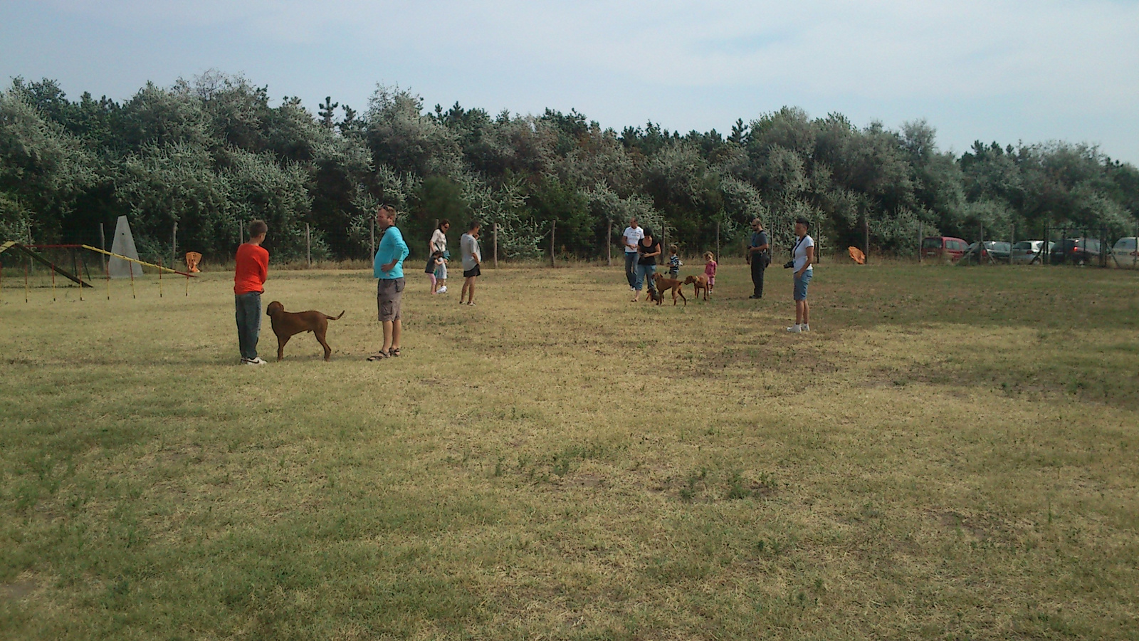 vizsla piknik 2013 (37)