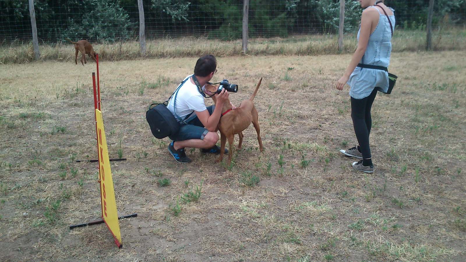 vizsla piknik 2013 (50)