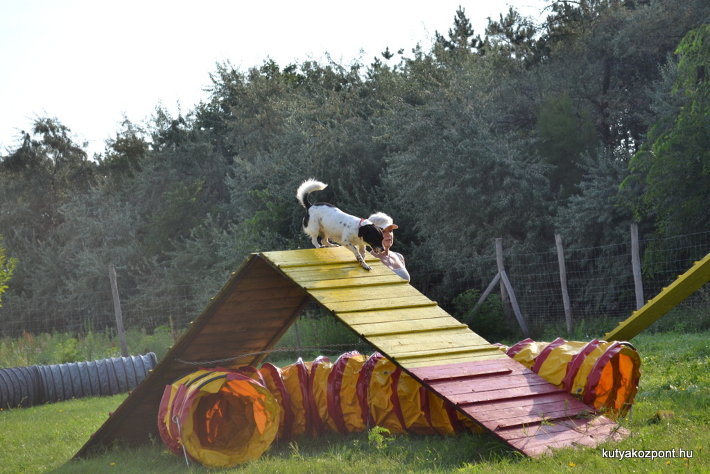 agility 17 kerulet (2)