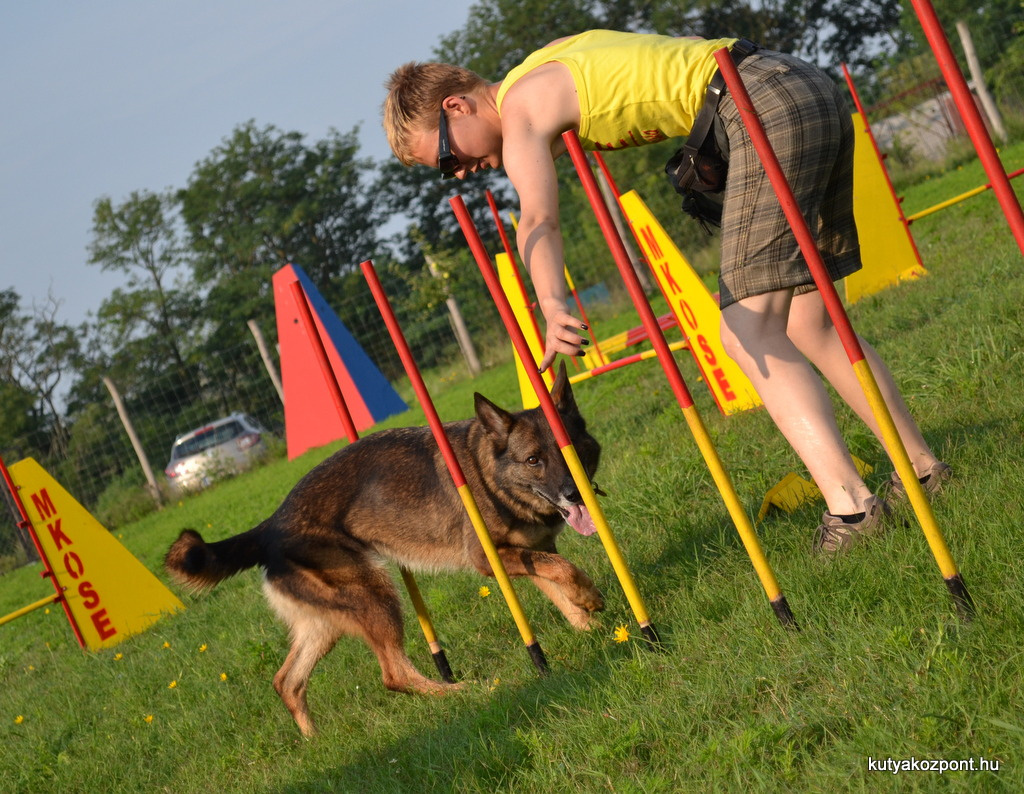 agility 17 kerulet (11)