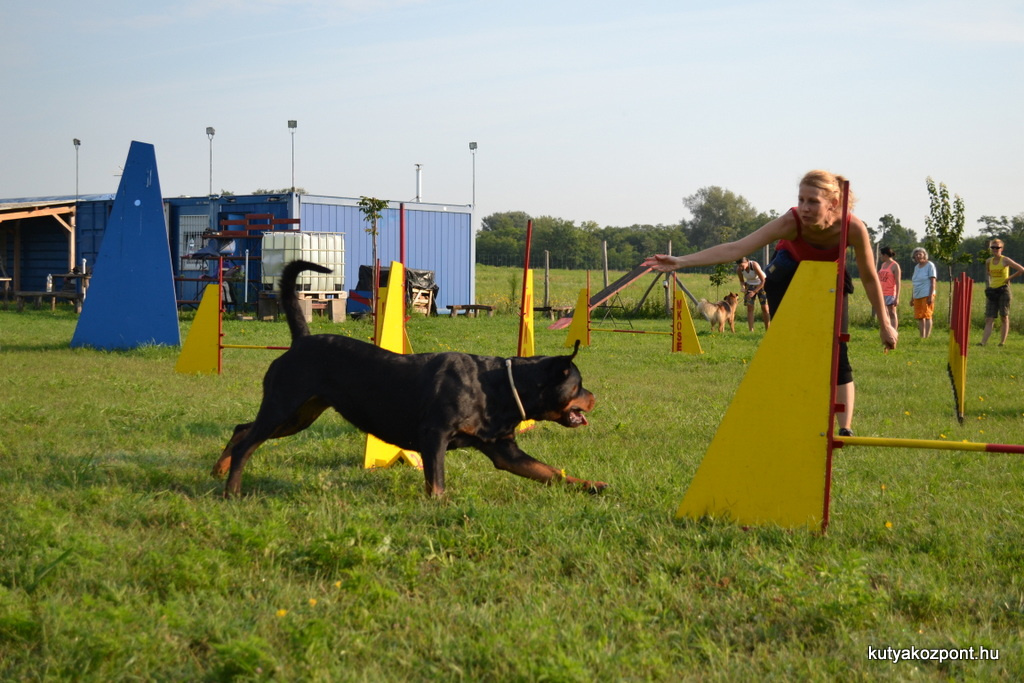 agility 17 kerulet (18)