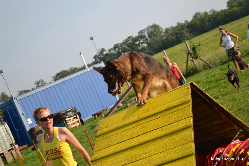 agility 17 kerulet (41)