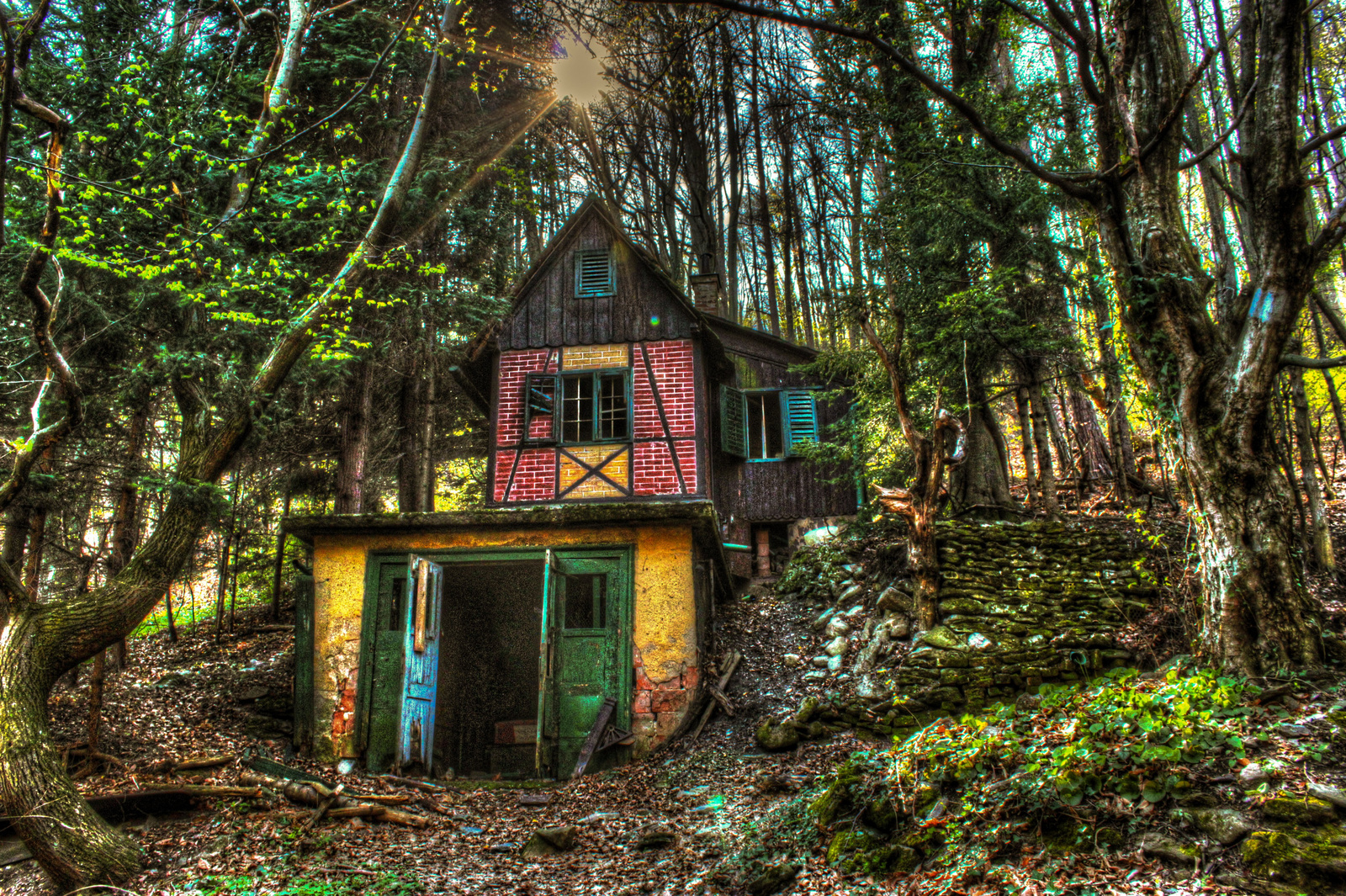 Ház az erdőben