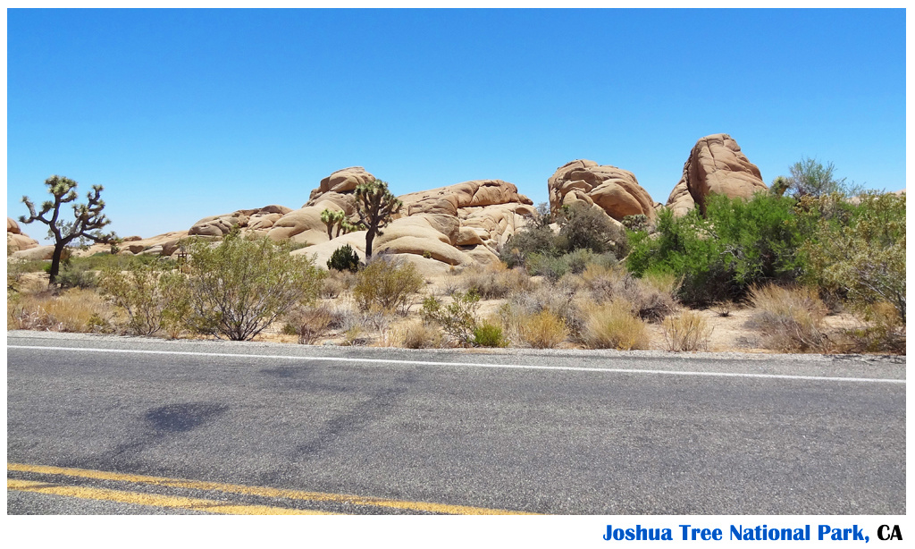 Joshua Tree National Park, CA