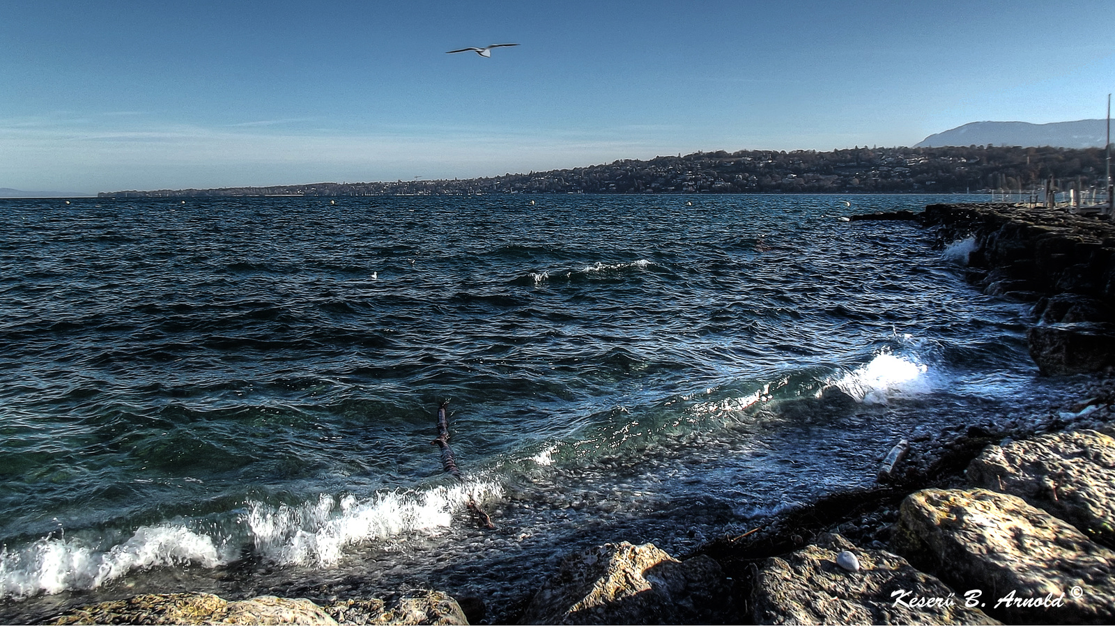 Lac Léman 1