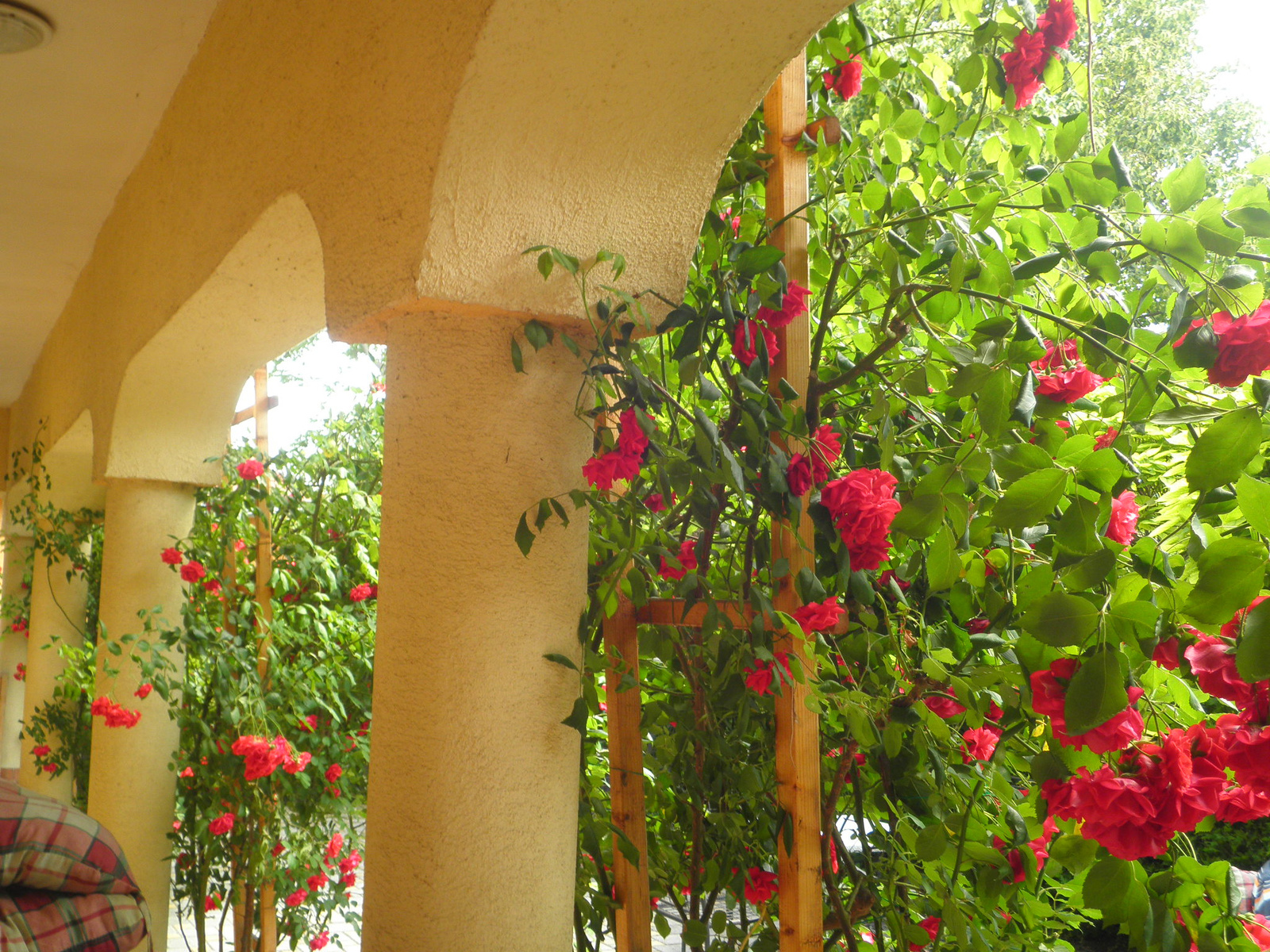 Rózsás veranda
