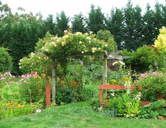 plants-for-pergola