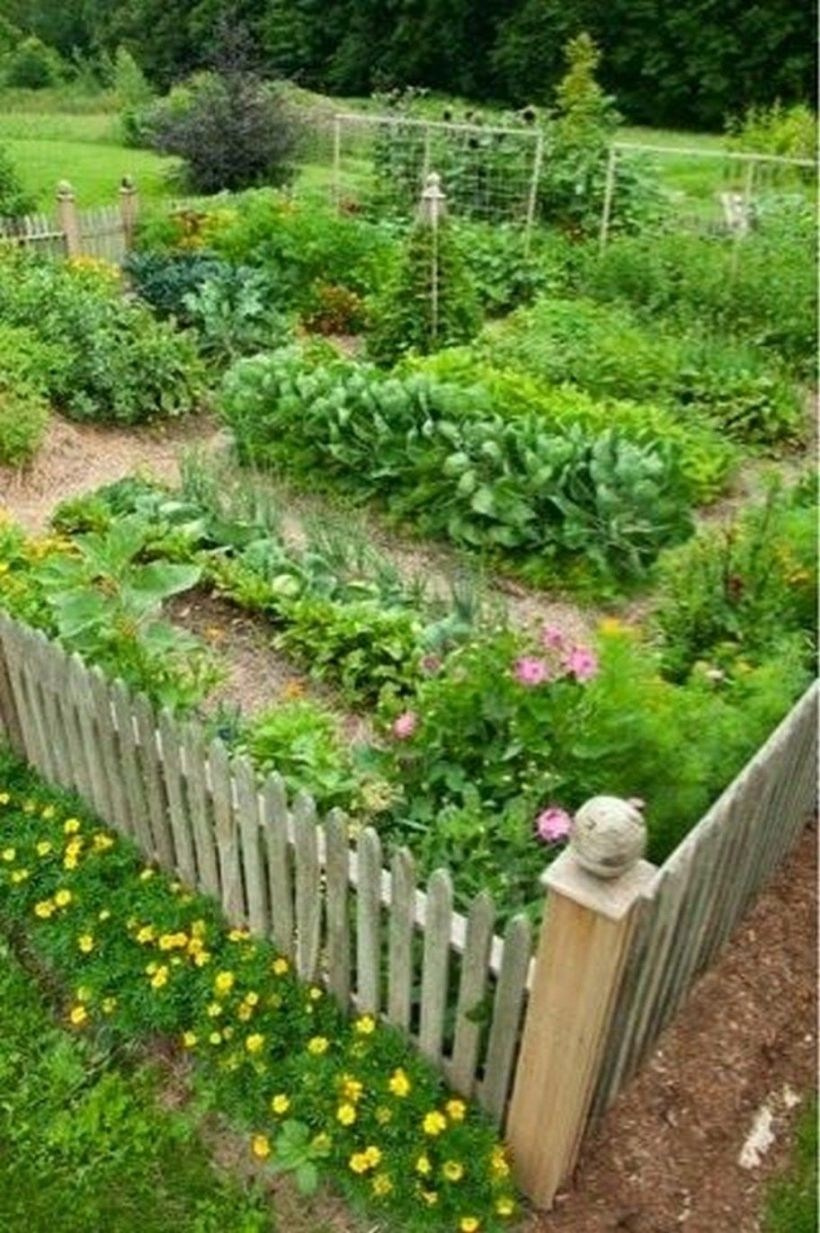 Backyard-Organic-Gardening-this-Summer-23