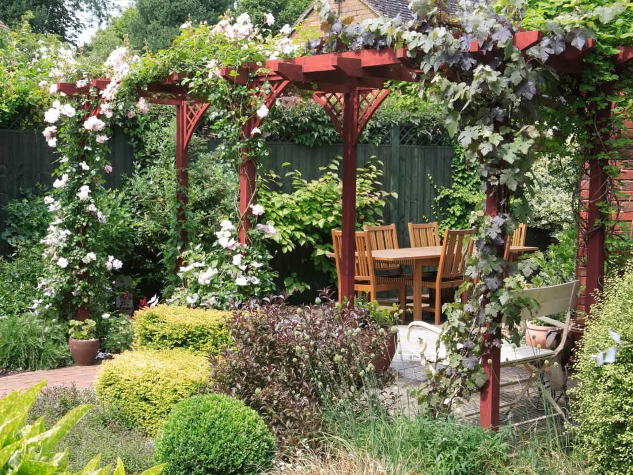 garden-with-pergola-featured-climbing-plants