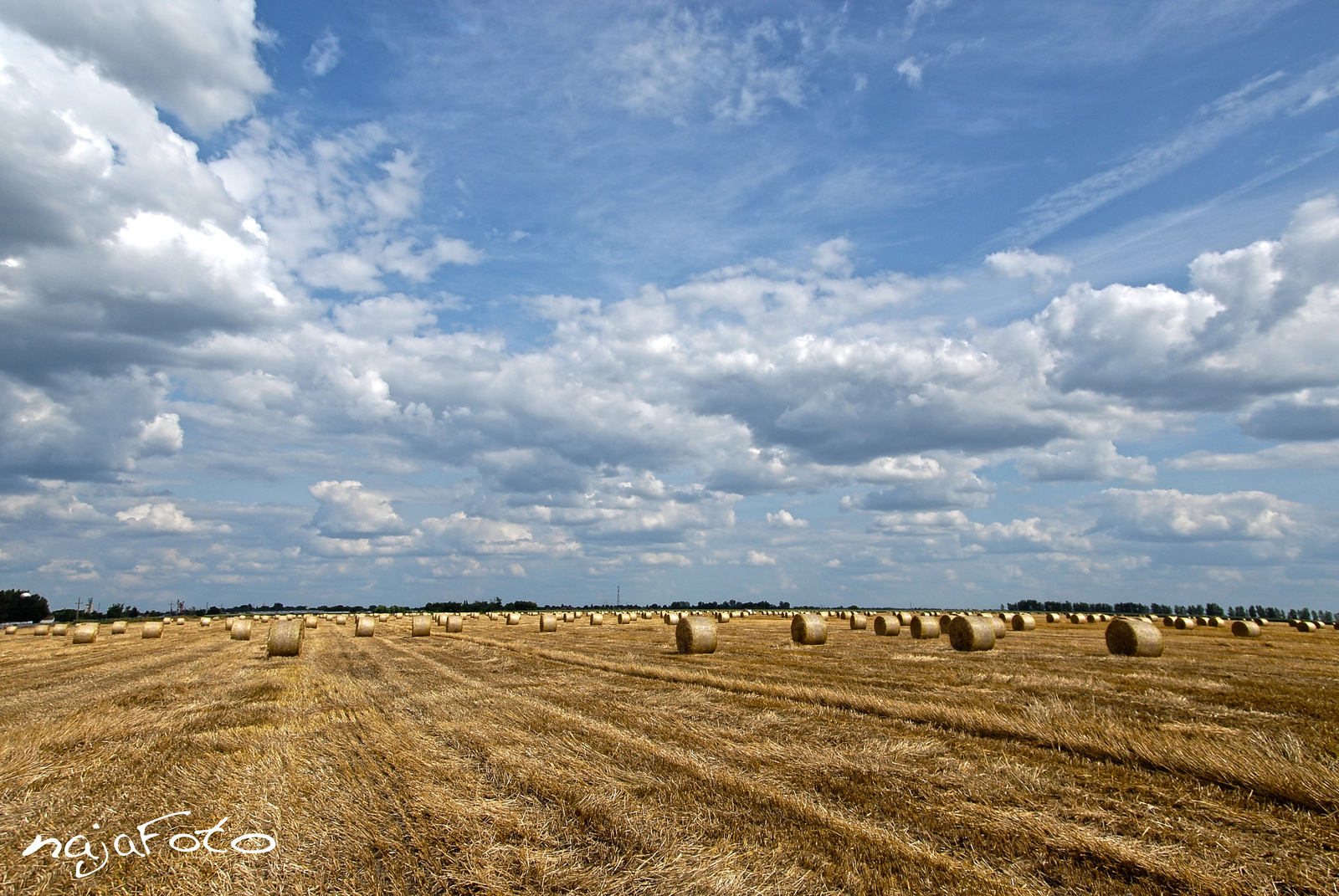 Apátyi puszta