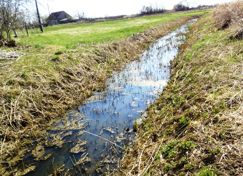 09 12.03.24. Bácsalmás a vizek városa Kígyós 033