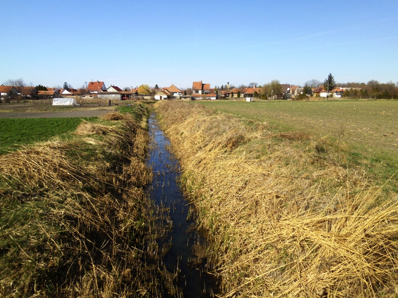 09 12.03.24. Bácsalmás a vizek városa Kígyós 046