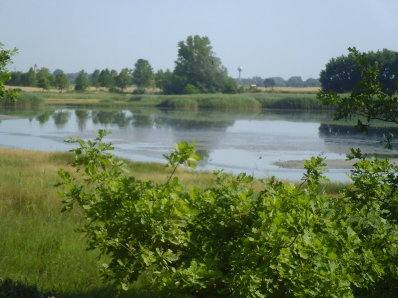 12.07.05. Konyhakert, betakarítás, gólya 090