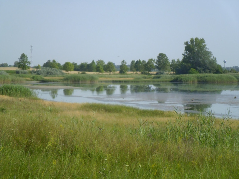 12.07.05. Konyhakert, betakarítás, gólya 095