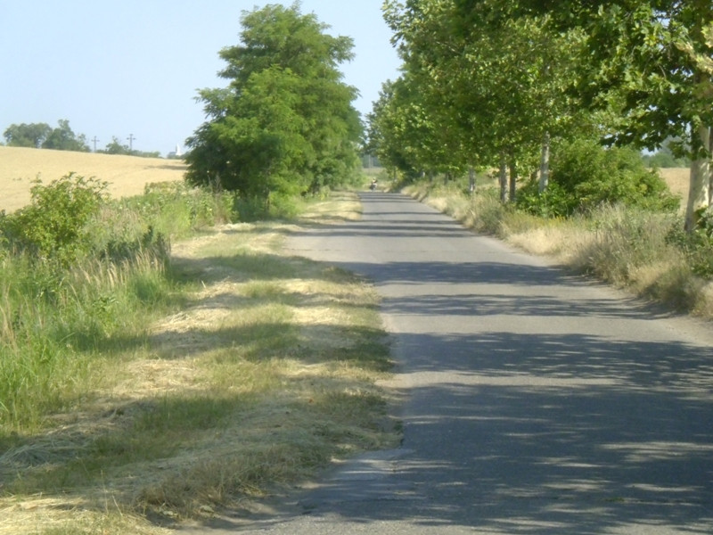 12.07.05. Konyhakert, betakarítás, gólya 127