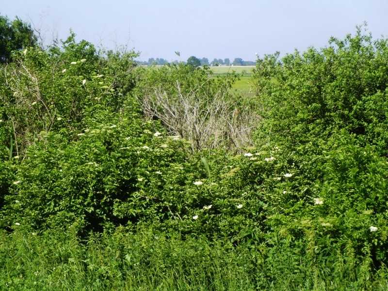 12.06.06. Kígyós - víztározó 076