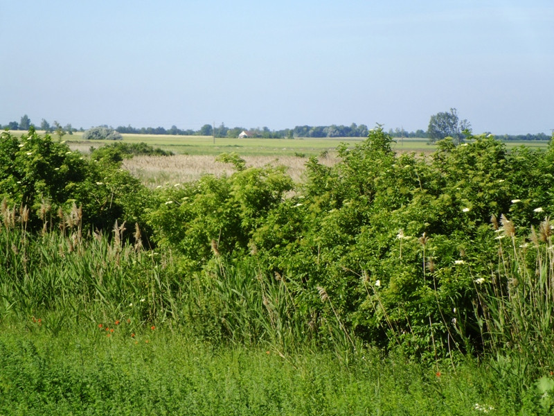 12.06.06. Kígyós - víztározó 077