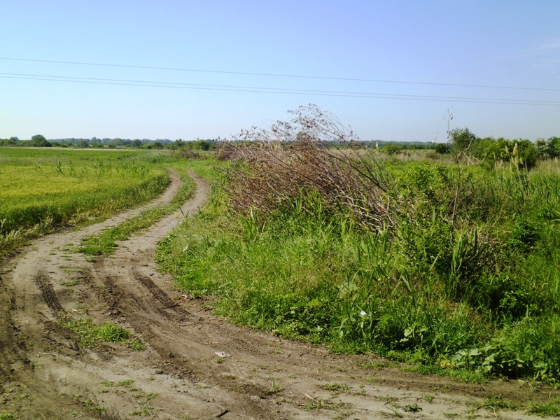 12.06.06. Kígyós - víztározó 091