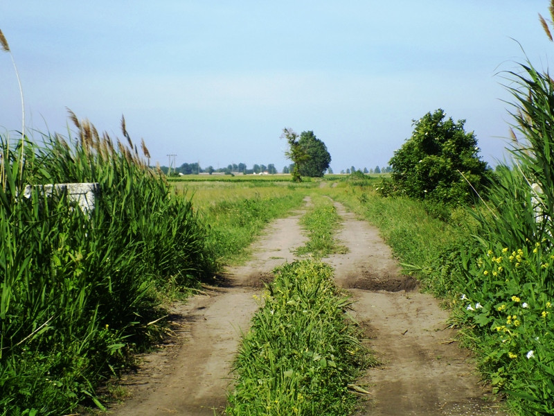 12.06.06. Kígyós - víztározó 098