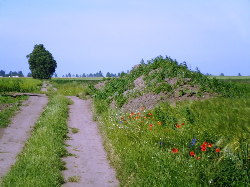 12.06.06. Kígyós - víztározó 140