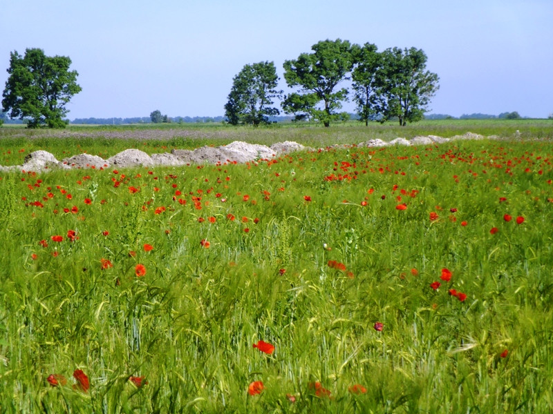 12.06.06. Kígyós - víztározó 153