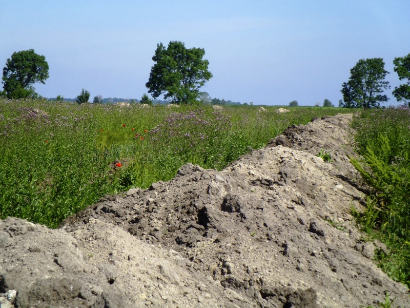 12.06.06. Kígyós - víztározó 162