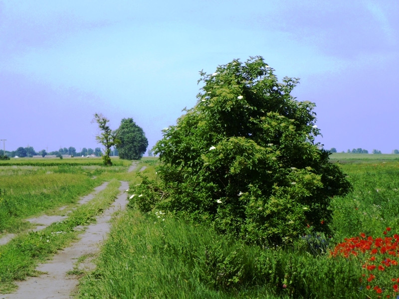 12.06.06. Kígyós - víztározó 193