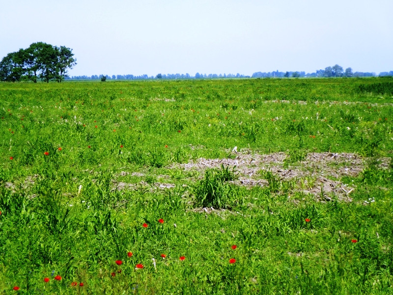 12.06.06. Kígyós - víztározó 196