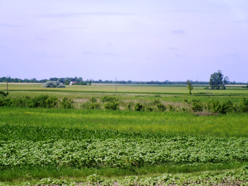 12.06.06. Kígyós - víztározó 223