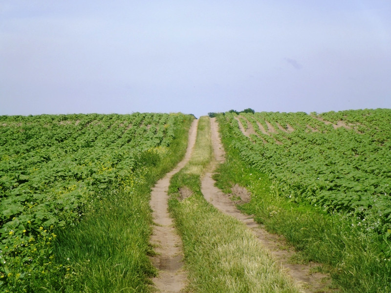 12.06.06. Kígyós - víztározó 230