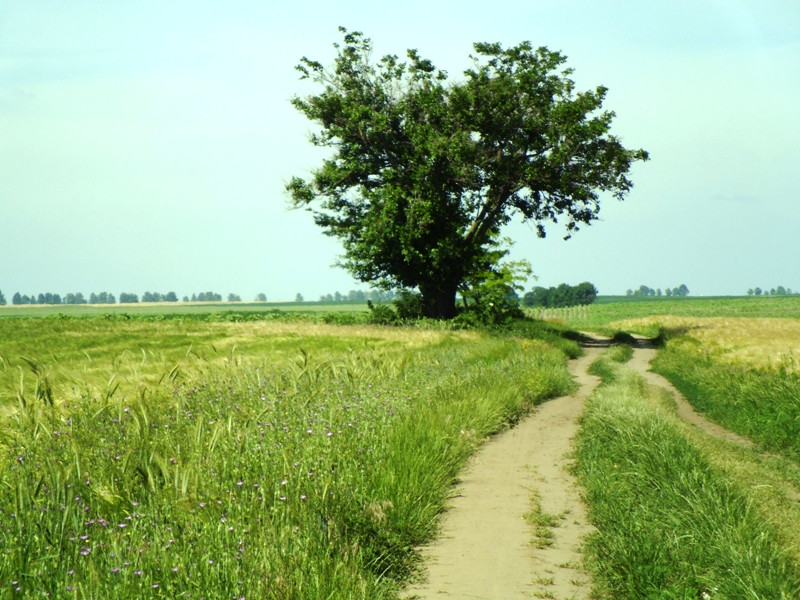 12.06.06. Kígyós - víztározó 237