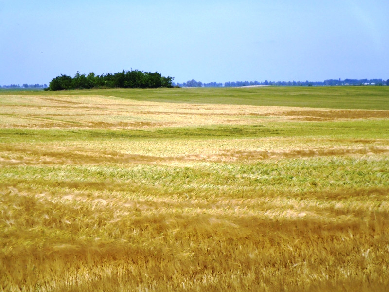 12.06.06. Kígyós - víztározó 245