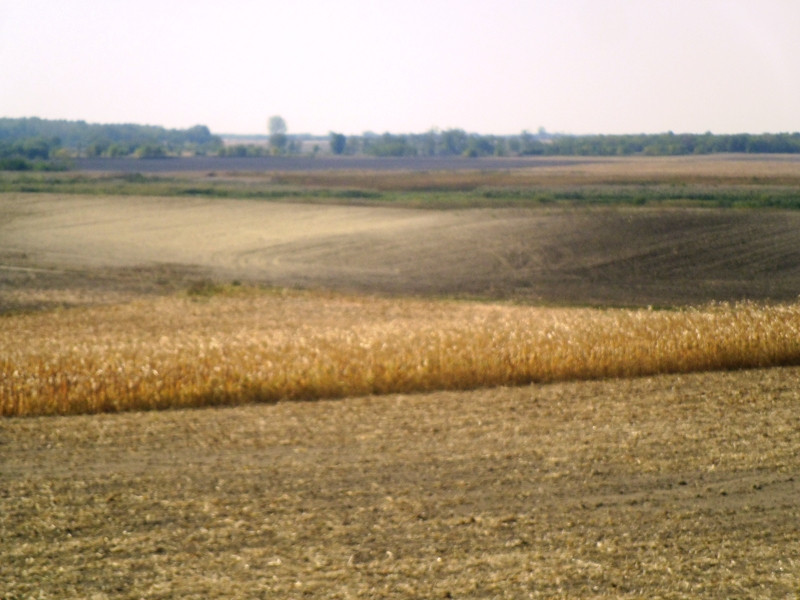 12.09.24. Víztározó 3 009